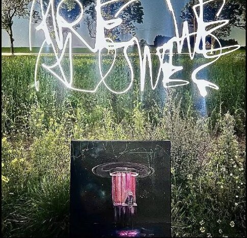 Are We Alone artwork installed in a field with light writing above it